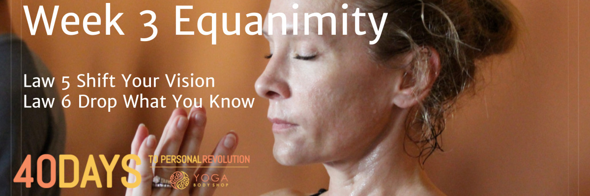 Week 3: Equanimity