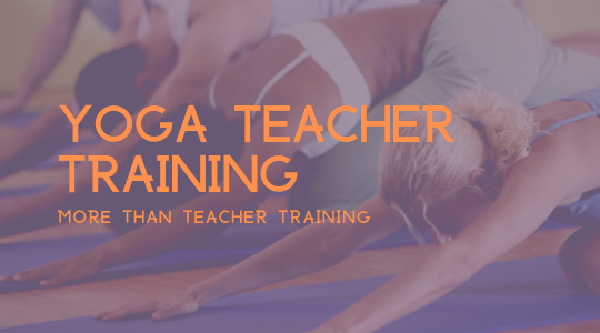 Yoga Teacher Training—More than Teacher Training
